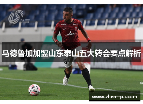 马德鲁加加盟山东泰山五大转会要点解析